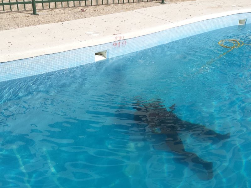 Localización de fugas de agua en piscinas Alicante